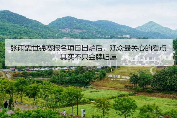 张雨霏世锦赛报名项目出炉后，观众最关心的看点其实不只金牌归属